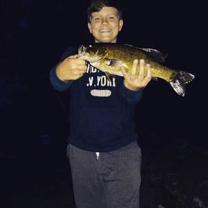 Meet your Posher, Toby